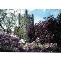 Ely Cathedral in Spring: Photography: Ken Hitch.
