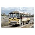 ptc6889 - Berks. - Blue Bus, Bedford, Reg.942 A...