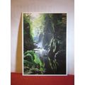 BETWS-Y-COED, THE FAIRY GLEN.. unused postcard ...