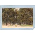 New York Buffalo Cycle Path Lincoln Parkway ny_...