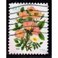USA, 2004 37c Flowers, SG 4345 (Scott #3837), u...