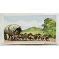 1961 Cooper's Tea card Transport through the ag...