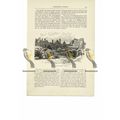 Private Chapel, Farnham Castle, Surrey, Book Il...