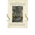 Hedgerow, Surrey, Book Illustration (Print), 1891