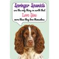 SPRINGER SPANIELS LOVE YOU MORE THAN THEMSELVES...