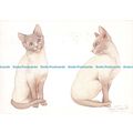 D025252 No. 16. Siamese Kittens. Water Colour. ...