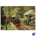 NG Railway Postcard Ffestiniog Blanche COED Y B...