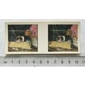 1960s Weetabix 3-D Our Pets Card No. 8 Mice