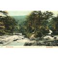 Watersmeet, Lynmouth, Devon, Postcard, 1900s?