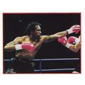 1996 Merlin Sky Sports Stickes Nigel Benn #206 ...