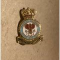 TRAINING COMMAND Royal Air Force - Enamel Badge