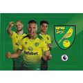 Panini's Premier League Football 2020 Stickers:...