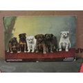 CONTEMPLATION.. 6 puppy dogs , used antique pos...