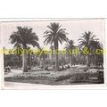 NICE, LES NOUVEAUX JARDINS, FRANCE, 1951, Postcard