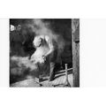 Postcard Shoeing a Horse Farrier Blacksmith Woo...
