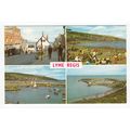 Lyme Regis Dorset Multiview Postcard 2212b