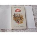 SEA COAST (29/05) # #