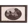 Antique GB Greetings Postcard 1909 - A Sweet Sh...