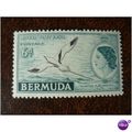 Bermuda 1953 Royal Visit QEII 6d White tailed t...