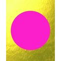 City Dressing - What you see is What you get by Studio Vollaerszwart; Edo Dijkst