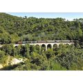 8742: Train a Vapeur des Cevennes.