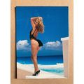 Ujena Swimwear Illustrated 1994 Edition Base tr...