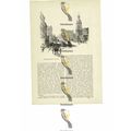 Princess Street, Dunedin, New Zealand, Book Ill...
