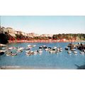 Harbour,Tenby, Wales, Salmons Cameracolour Post...