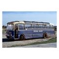 pu1039 - Riduna Buses Bus reg no AY305 at Alder...