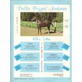dalla pozzas arabians 1972 kiti gazi kitra eque...