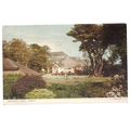 CONNAUGHT GARDENS, SIDMOUTH, DEVON used postcar...