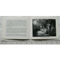 Vintage: Mysteries of the Moor, Souvenir Bookle...