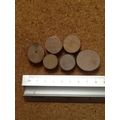 Wooden Stepping Stones Pack of 6 Assorted Sizes