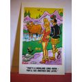 SAUCY SEASIDE POSTCARD unused PEDRO series no 2...