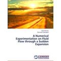 A Numerical Experimentation on Fluid Flow throu...