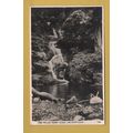 The Falls, Fairy Glen. Dwygyfylchi - Postally U...