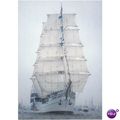 Netherlands Postcard - Sail Nr. 18