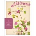 Wildflowers of Maine