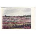 Walberswick Common Art Postcard Suffolk C W Fau...