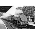 25 A4 ‘FALCON’ @ HUNTINGDON STN. 48 (4)