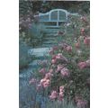 Roses and Lavender Pashley Manor Sussex Postcar...