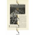 Paris At Night, France, Book Illustration (Prin...