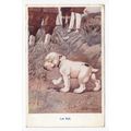 Bonzo Dog The Lost Ball Golf 1925 G E Studdy Ar...