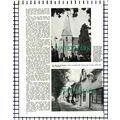 (8433) Horsham Sussex - 1966 Article