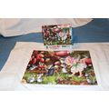 GEMSTONE FAIRIES COMPLETE Puzzle Red Stone Fairies