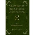 Gleanings in Bee Culture, Vol. 17: Devoted to B...
