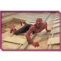 Merlin's Spider-Man (2002) Sticker Collection -...