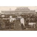rp16406 - Epsom Racecourse , Surrey - print 6x4