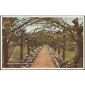 Pergolas, Botanical Gardens, Rhyl, Flintshire, ...
