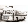 Black & White Photograph of Bristol Omnibus Co....